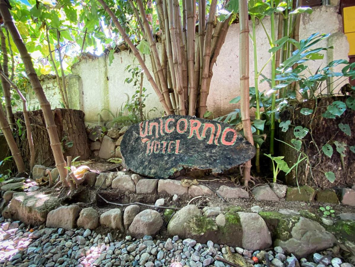 Unicorn Reborn - Peaceful Rentals San Marcos La Laguna Exterior foto