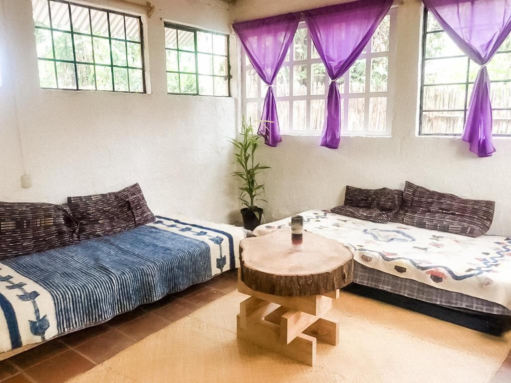 Unicorn Reborn - Peaceful Rentals San Marcos La Laguna Exterior foto